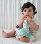 Imagen de Peluche Sandy el Leon marino sensorial