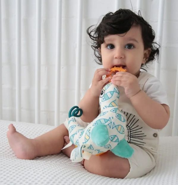 Imagen de Peluche Sandy el Leon marino sensorial