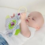 Imagen de Colgante peluche Henri el Erizo sensorial