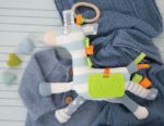 Imagen de Cebra sensorial Dolce Toys