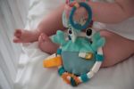 Imagen de Cangrejo Dolce Toys con mordillo