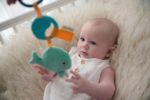 Imagen de Ballena con sonido y mordillo Dolce Toys