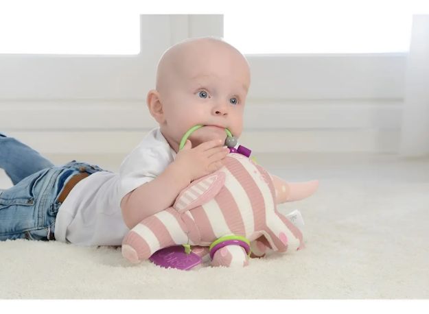Imagen de Oso Hormiguero Alicia sensorial Dolce Toys