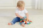 Imagen de Pájaro con tecturas y sonidos Dolce Toys