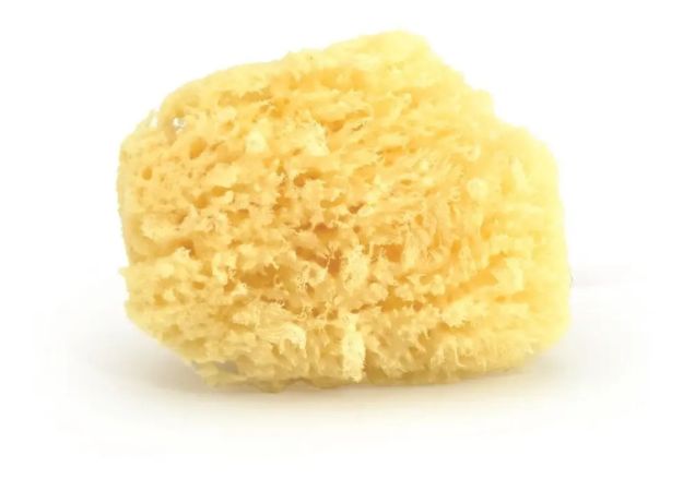 Imagen de Esponja marina 100% natural para baño