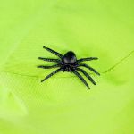 Imagen de Set de explorador de la naturaleza Bigjigs