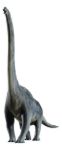 Imagen de Juego Paleontología Dinosaurios Realidad Aumentada Niños 6a+ - brachiosaurus