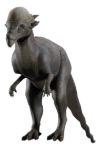 Imagen de Juego Paleontología Dinosaurios Realidad Aumentada Niños 6a+ - pachycephalosaurus