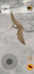 Imagen de Juego Paleontología Dinosaurios Realidad Aumentada Niños 6a+ - pterodactylus