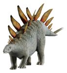 Imagen de Juego Paleontología Dinosaurios Realidad Aumentada Niños 6a+ - stegosaurus