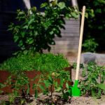 Imagen de Pala de mango largo jardinería Bigjigs