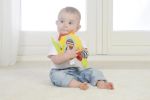 Imagen de Gallina sensorial con texturas Dolce Toys