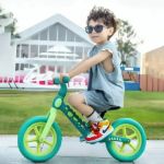 Imagen de Bicicleta de equilibrio sin pedales Dino Buba