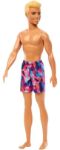 Imagen de Ken rubio Barbie playa tamaño 30cm