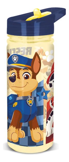 Imagen de Botella 580ml Paw Patrol Skye