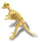 Imagen de Packx12 Dinosaurios coleccionables arqueología con realidad aumentada
