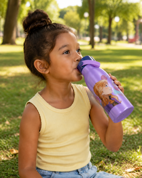 Imagen de Botella aluminio 760 ml Frozen lila