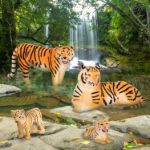 Imagen de Familia de Tigres Terra