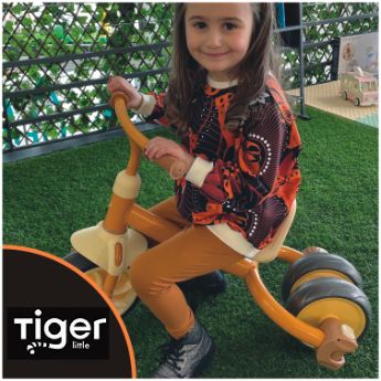 Imagen del fabricante Tiger